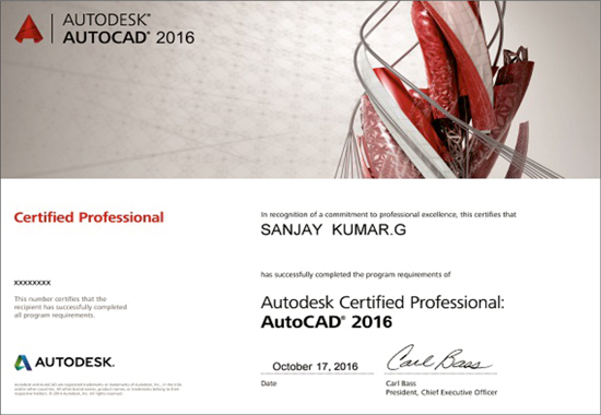 Ansys Certificate